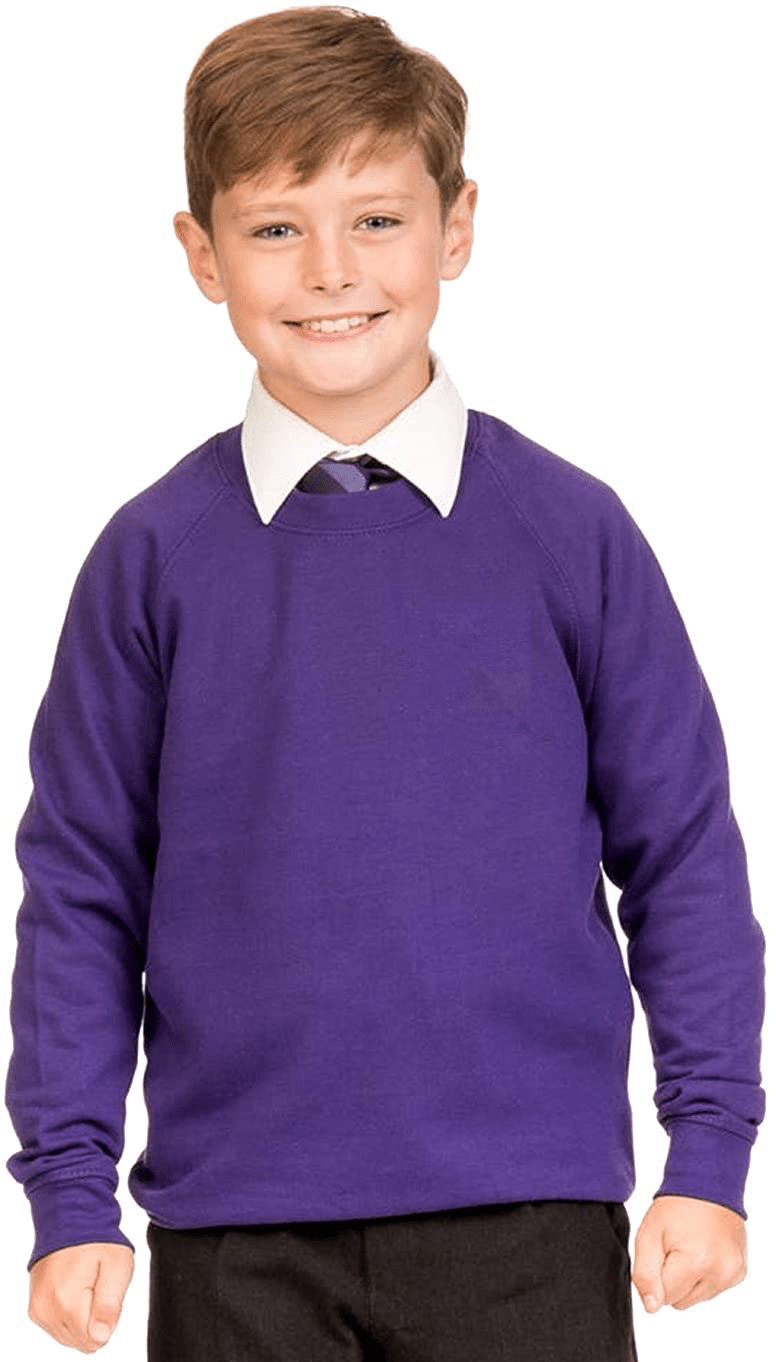 Purple Crew Neck Sweatshirt TO CLEAR